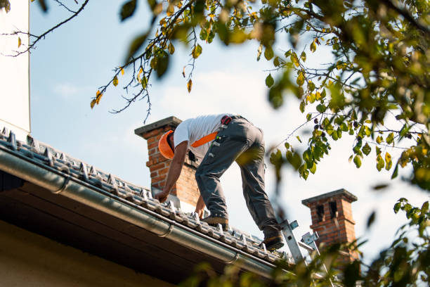 Best Slate Roofing Contractor  in Neuse Forest, NC