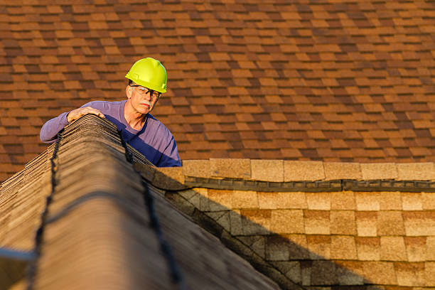 Best Roof Gutter Cleaning  in Neuse Forest, NC